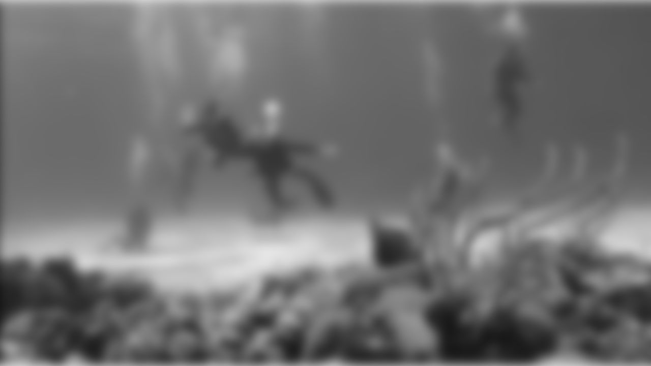 tempWide-Coral-Divers.jpg