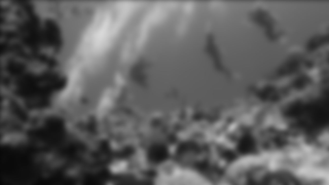 tempDivers-With-Coral.jpg