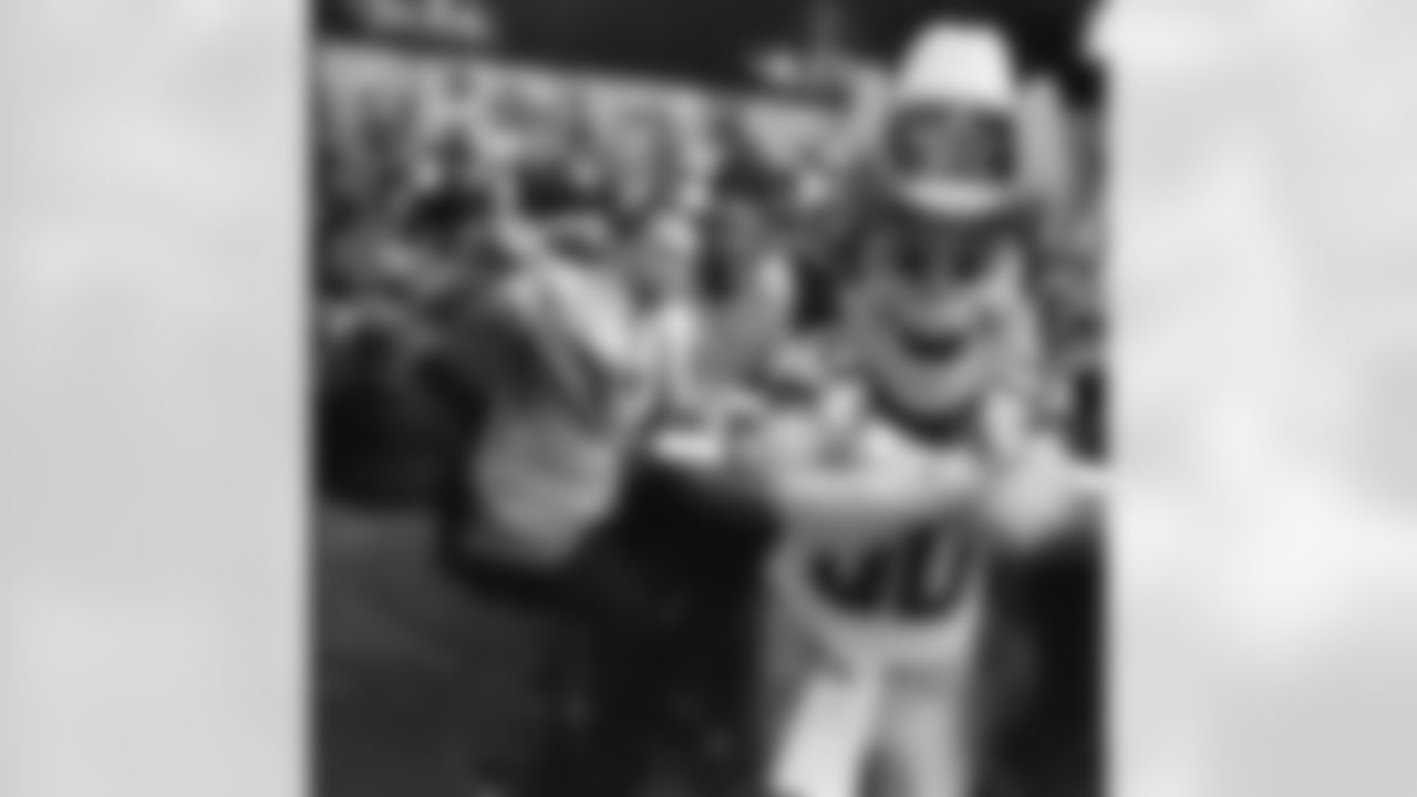 rowdy_photo_-_stephen_a._smith_sneaking_a_punch_behind_rowdys_back_1-5-15_0.jpg