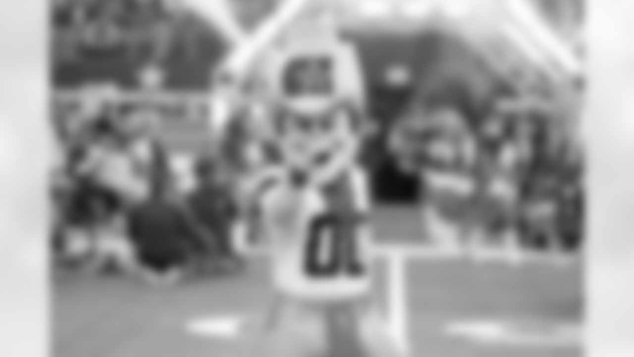 19 October 2014: Rowdy
of the Dallas Cowboys during the Cowboys 31-21 win over the New York Giants at AT&T Stadium in Arlington, Texas. Photo by James D. Smith/Dallas Cowboys
