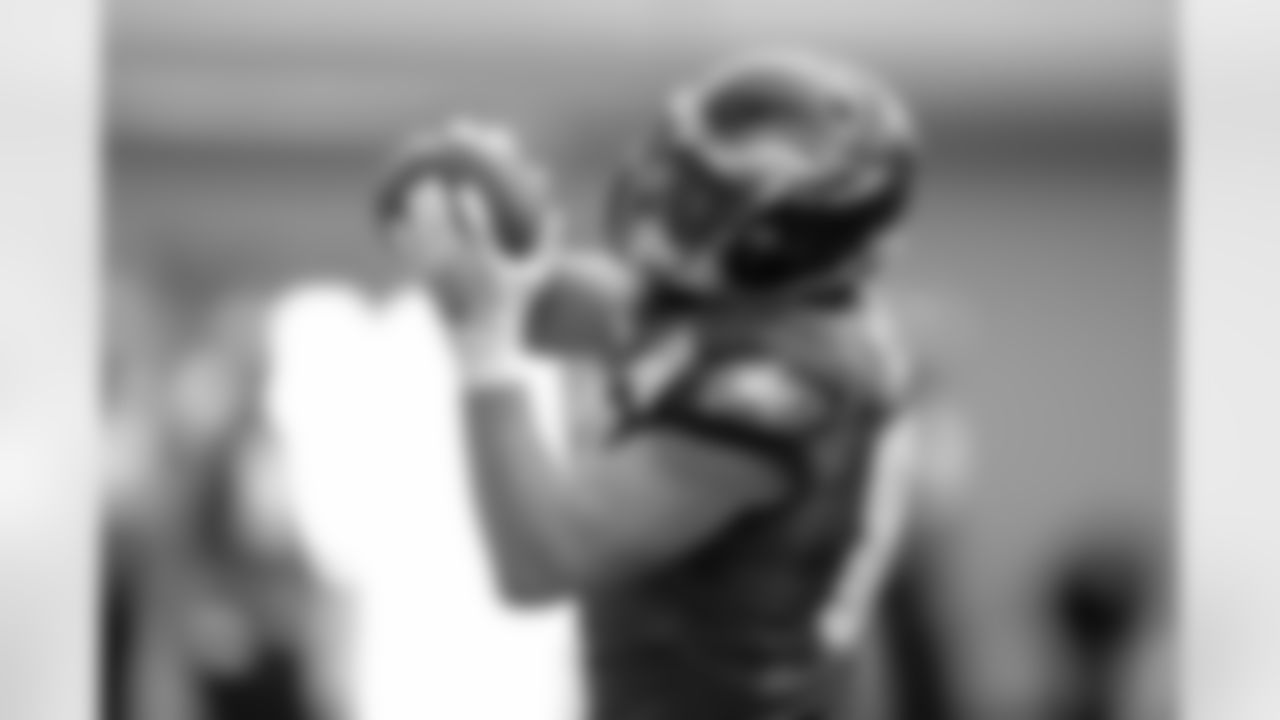 TE Brent Celek