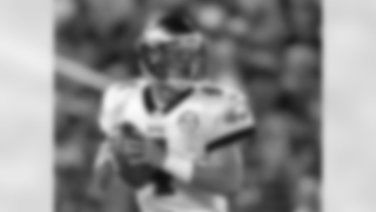 QB Kevin Kolb looks over the field