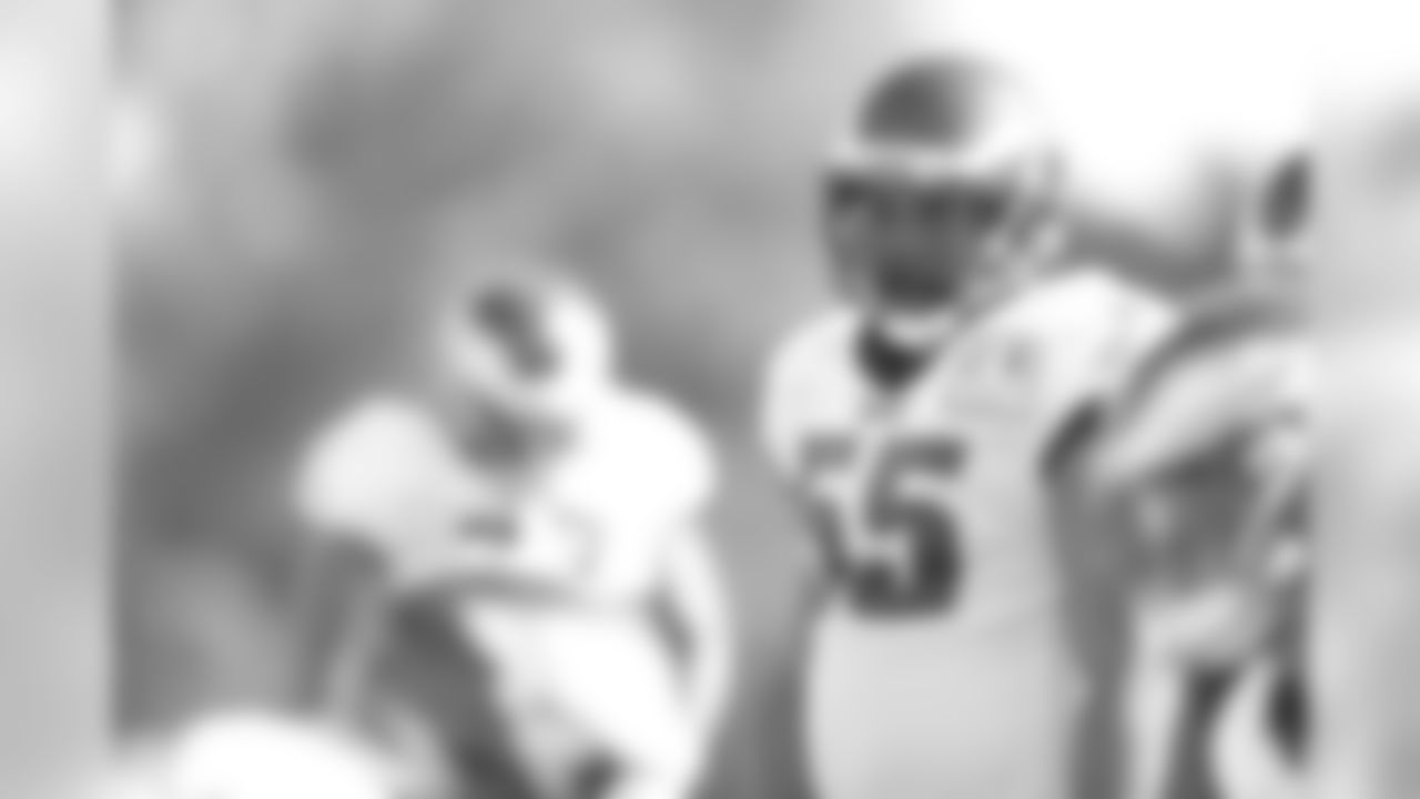 DE Brandon Graham