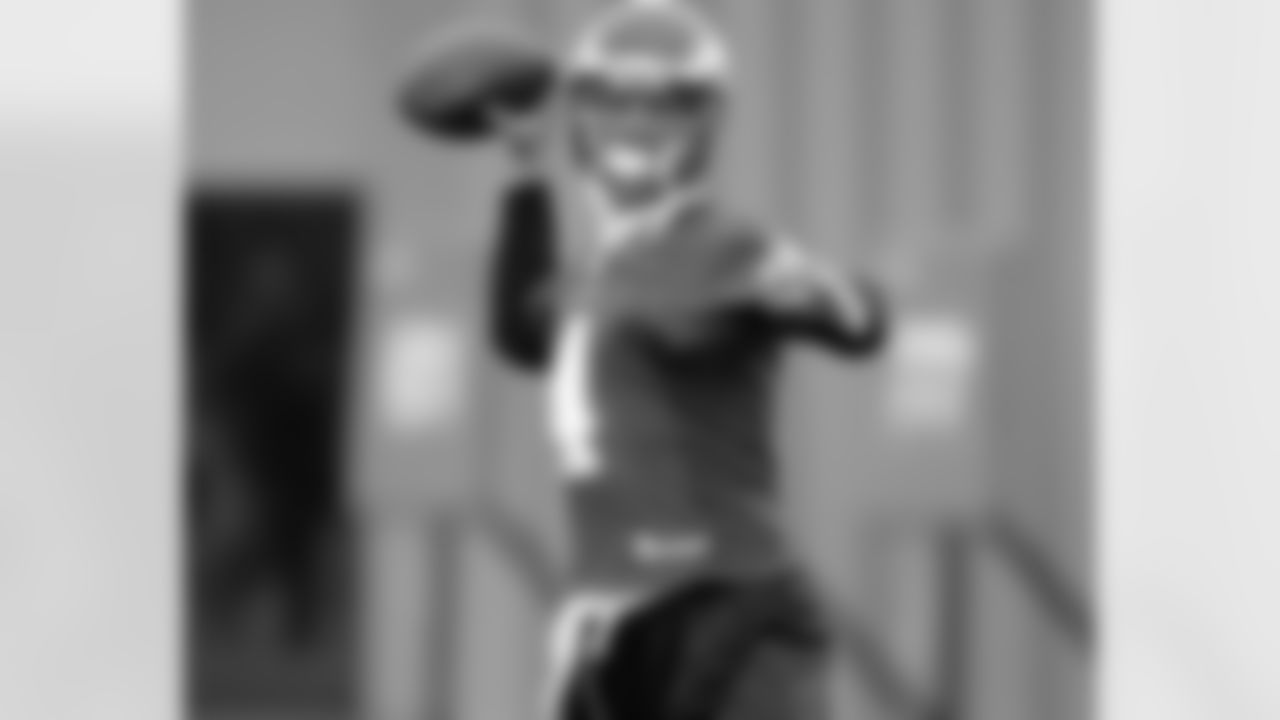 QB Kevin Kolb in action