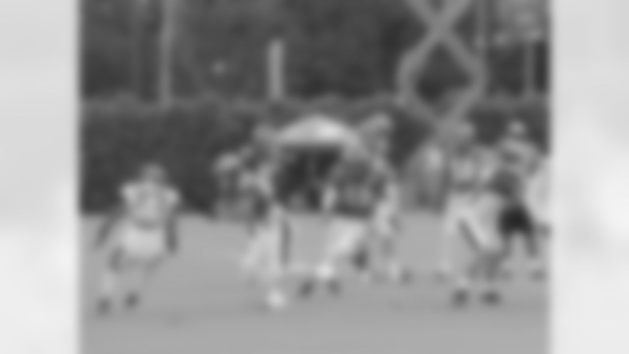 WR Cobi Hamilton finds some open space