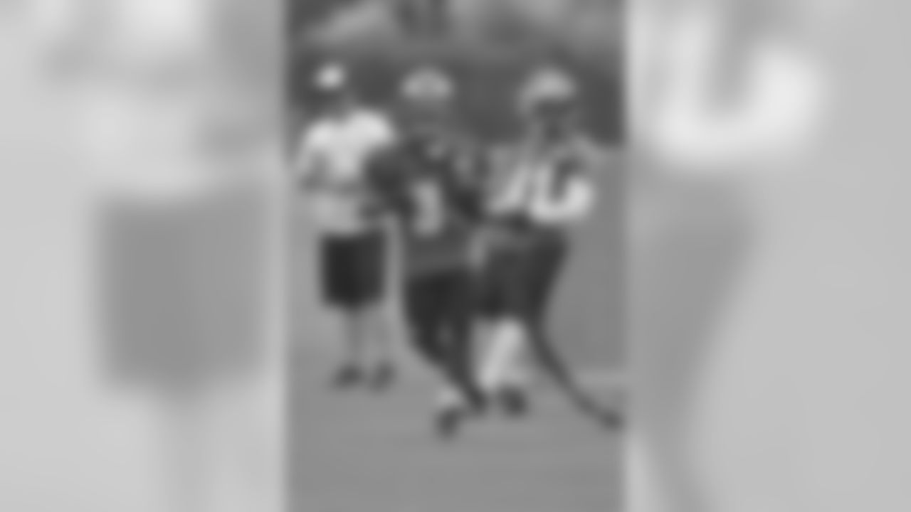 RB Henry Josey