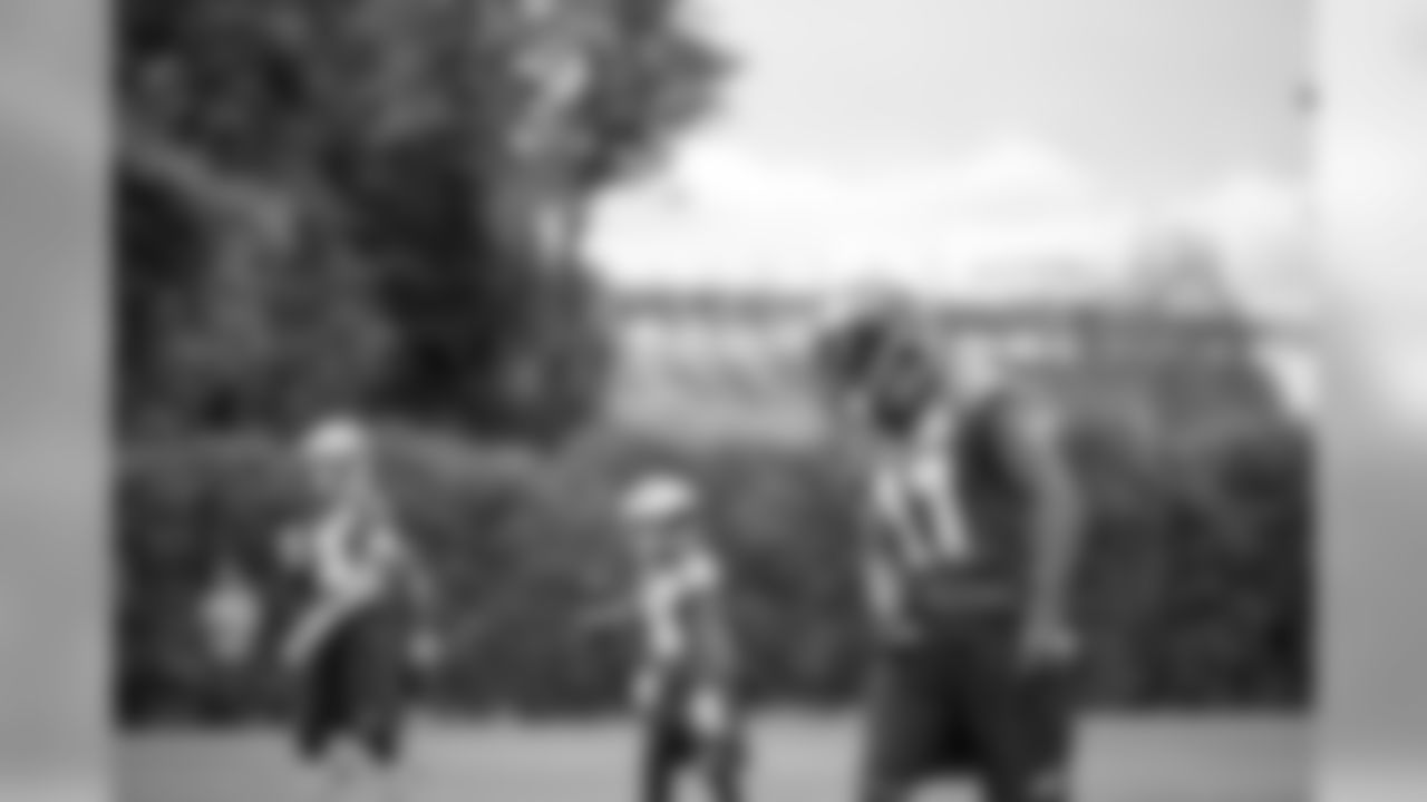 WR Alshon Jeffery