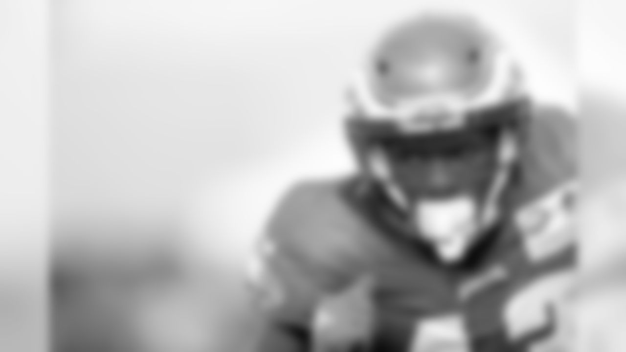 WR Nelson Agholor
