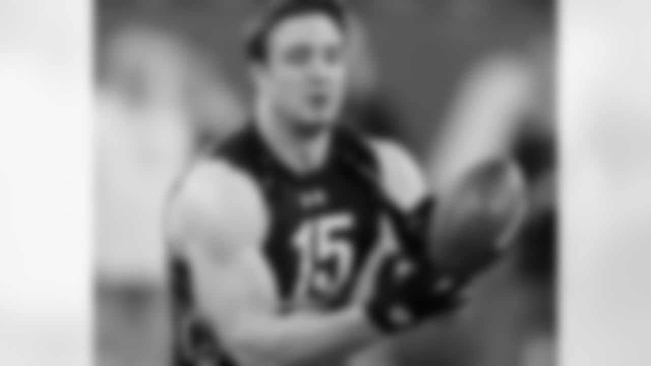 TE Luke Stocker of Tennessee