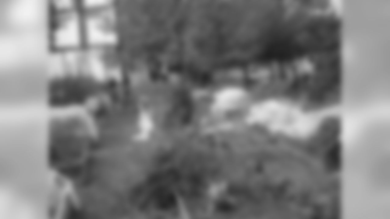 The prolific community garden itself