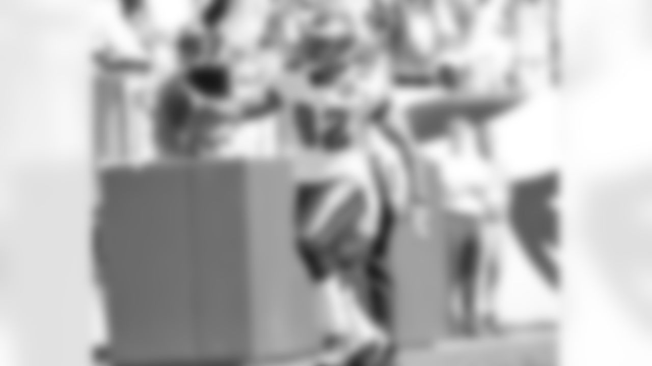 TE L.J. Smith