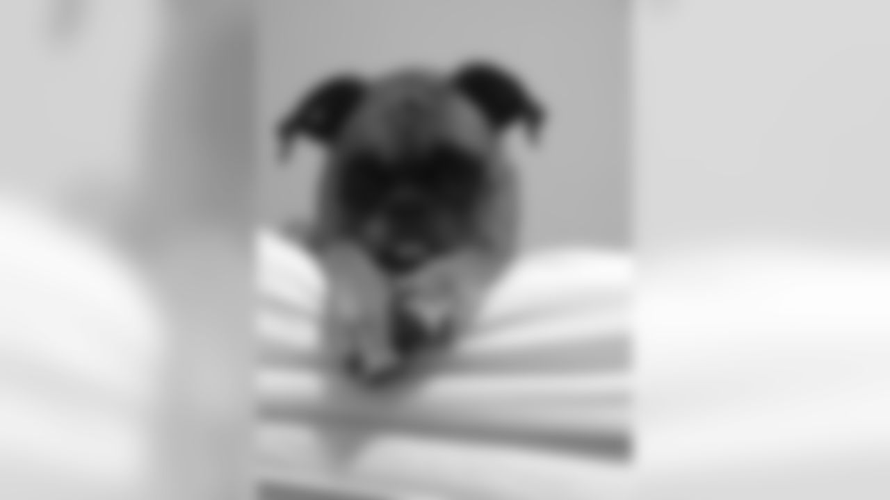 This little puppy is DE Eric Tomlinson's