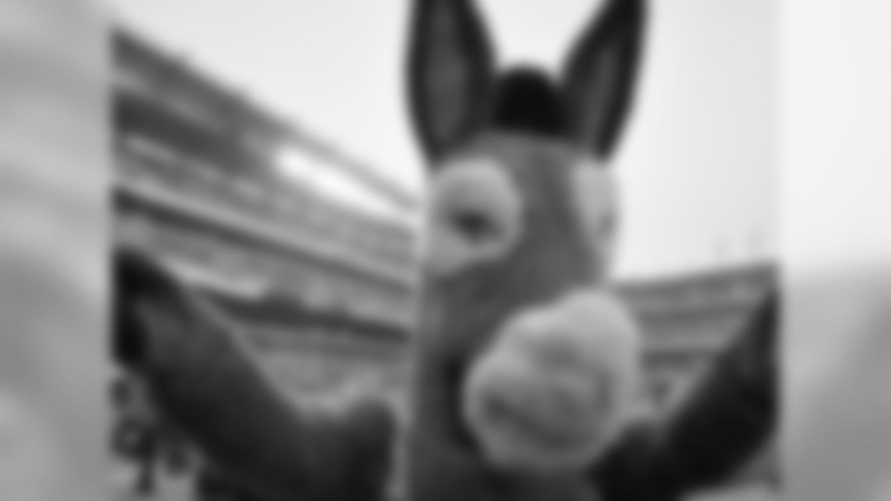 The Army mascot on full display