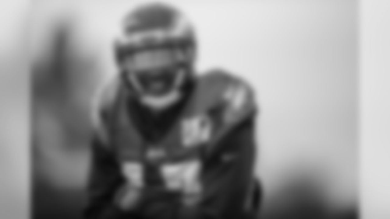 WR Alshon Jeffery