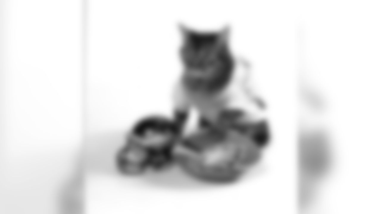 The pur-fect pet portrait