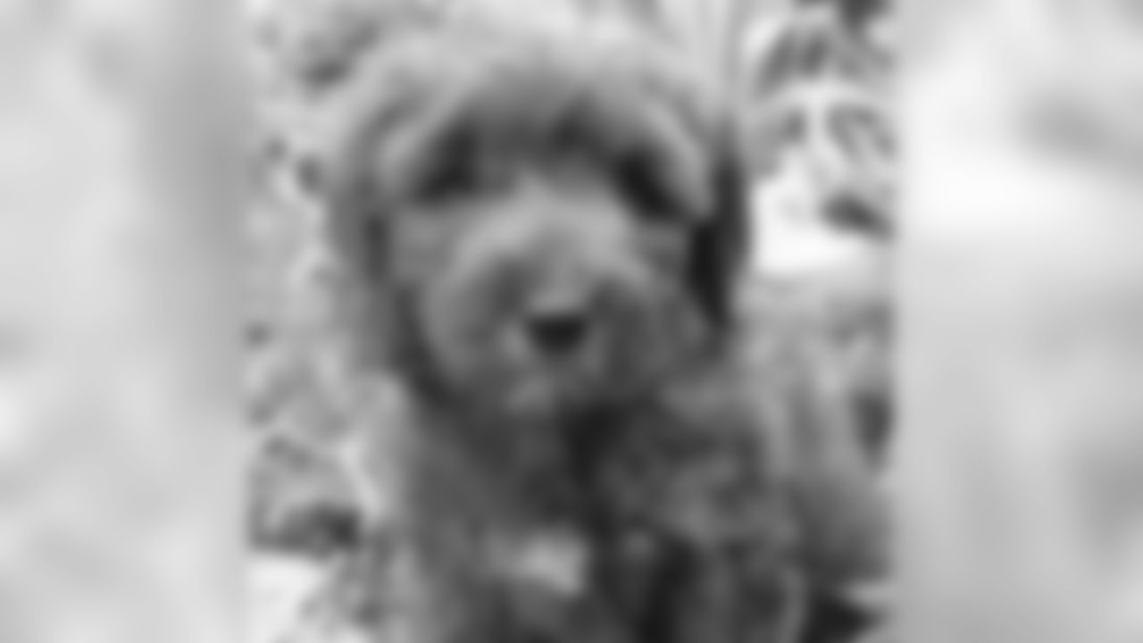 Doug Pederson | Lucy