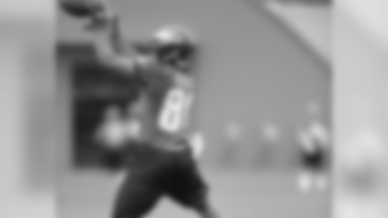 WR Martin Rucker gets up for the catch