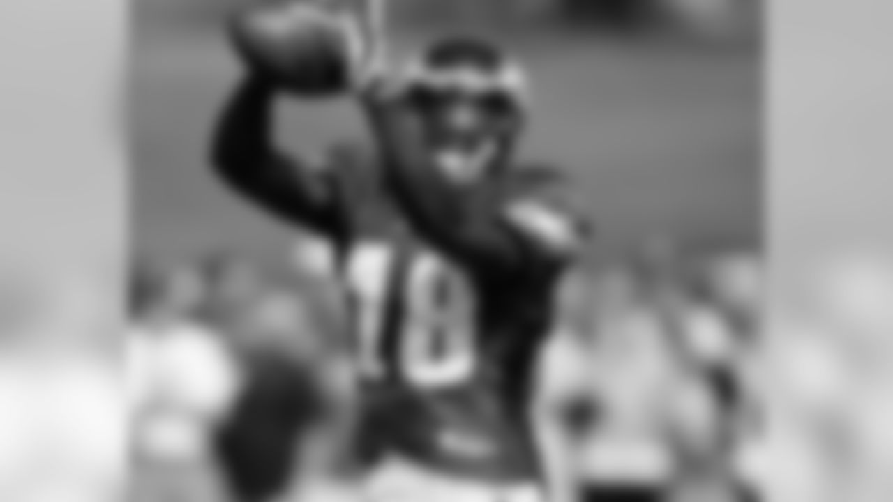 WR Jeremy Maclin in action