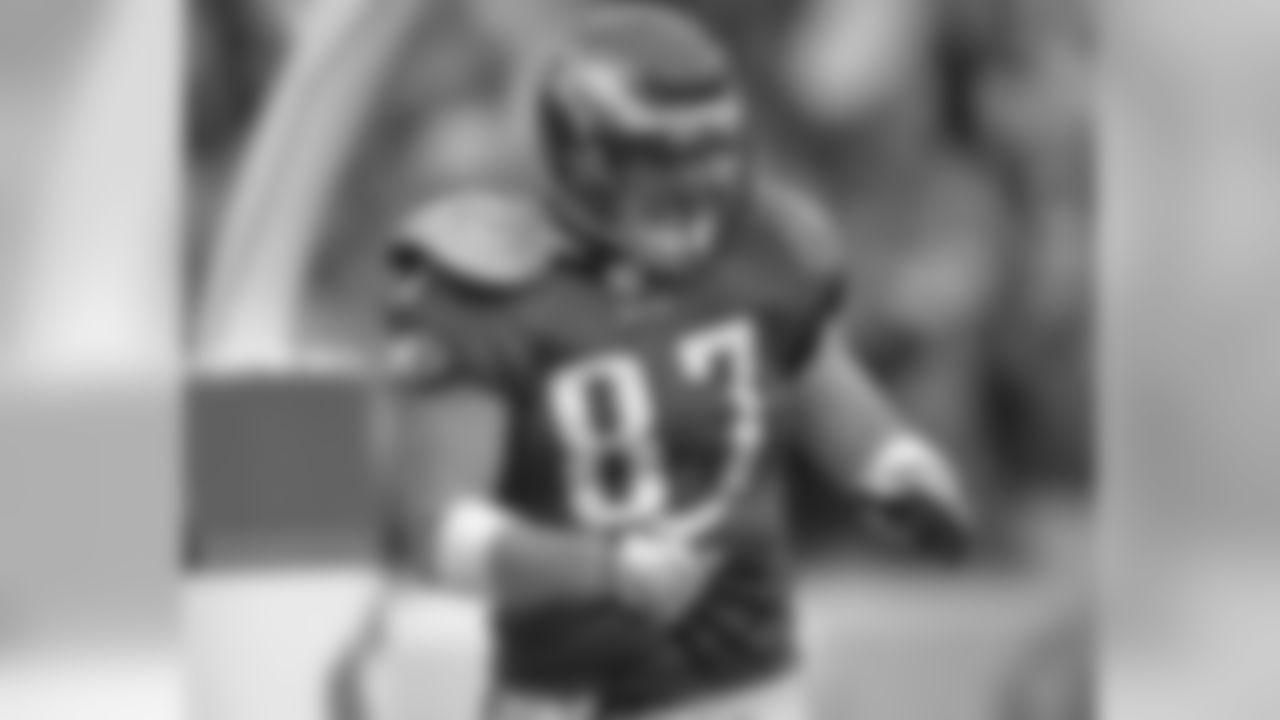 TE Brent Celek all smiles after TD catch