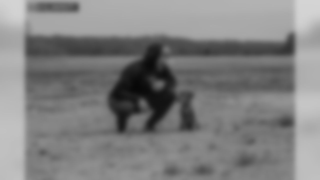 wentzrepost031519