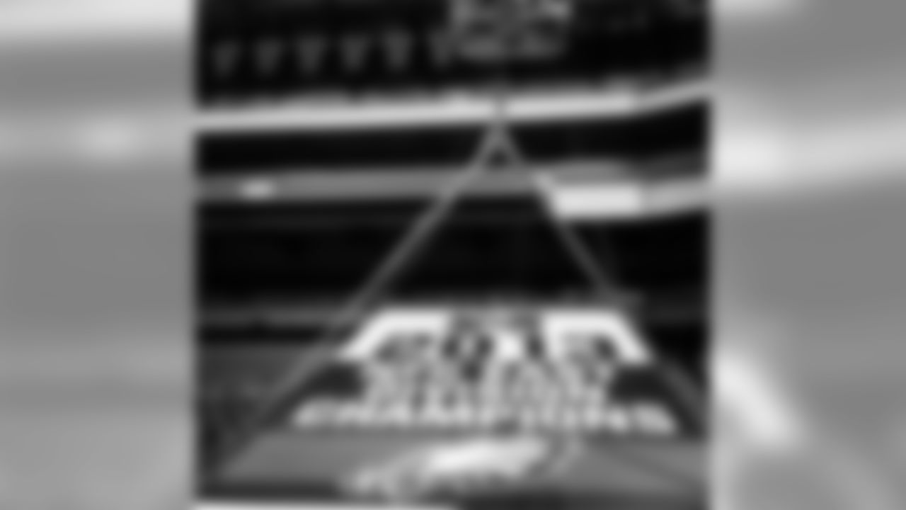 The 2013 NFC East Division Champions banner heads to the rafters