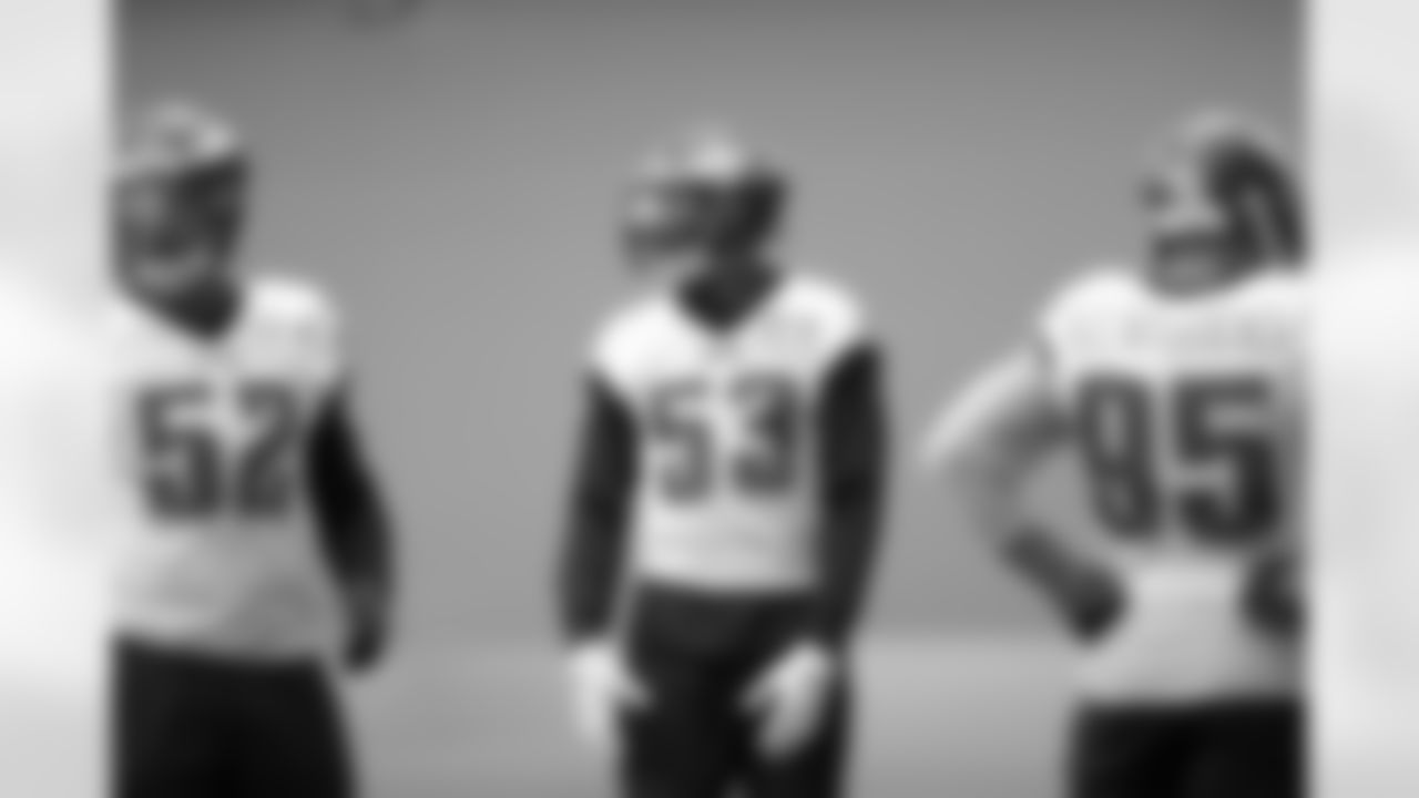 LB Nigel Bradham