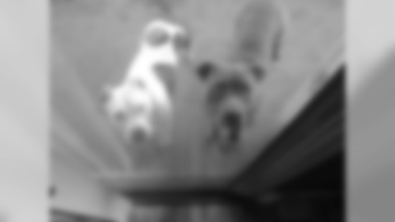 G Malcolm Bunche's dogs