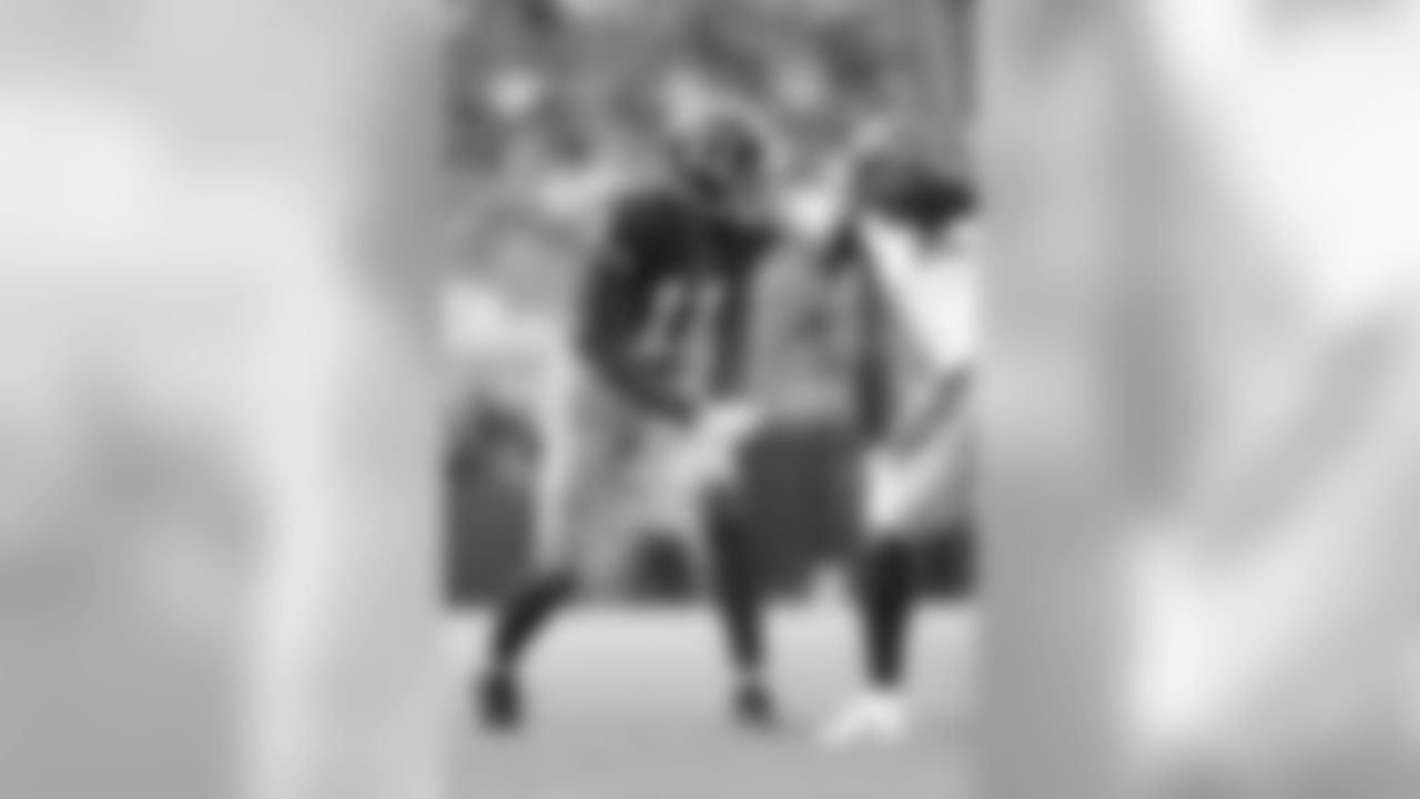 WR Terrelle Pryor, a quarterback turned receiver, hauled in six catches for 66 yards in the opener against Philadelphia.