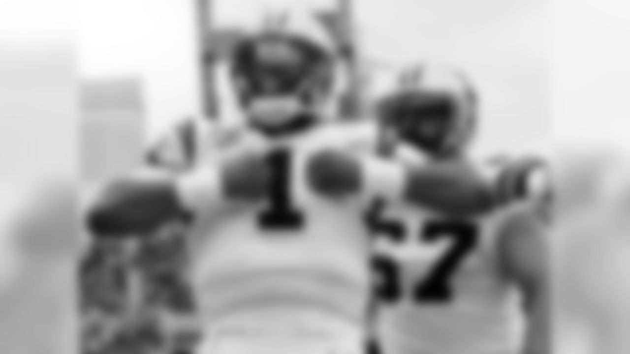 QB Cam Newton has thrown for 1,078 yards and eight touchdowns while also rushing for 225 yards and three scores in 2015.