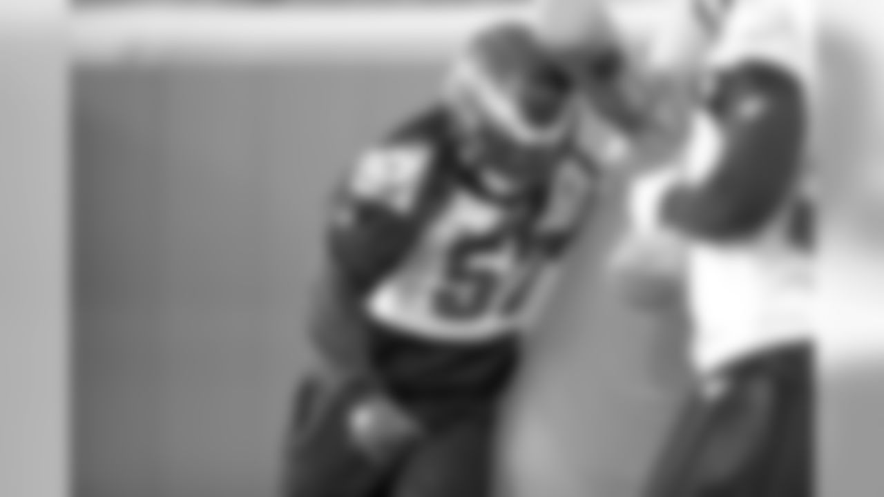 LB Dannell Ellerbe