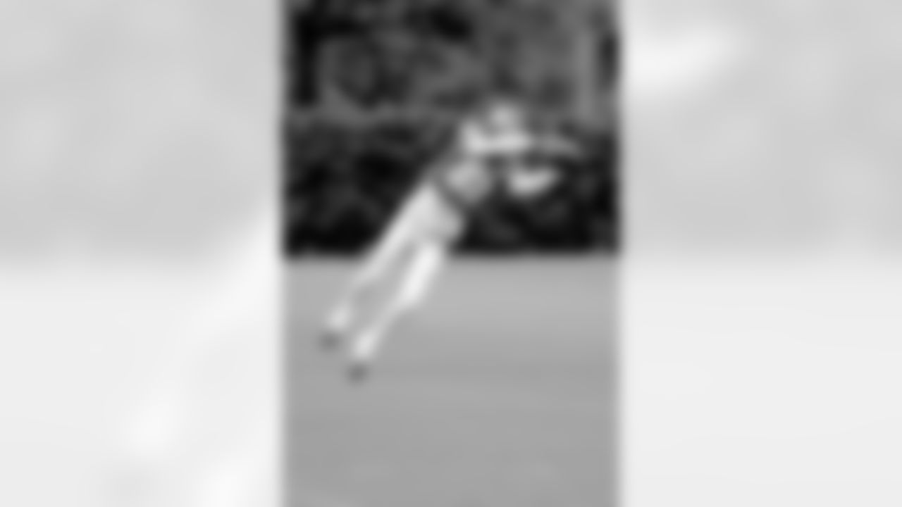 WR Jeff Maehl lays out for the catch