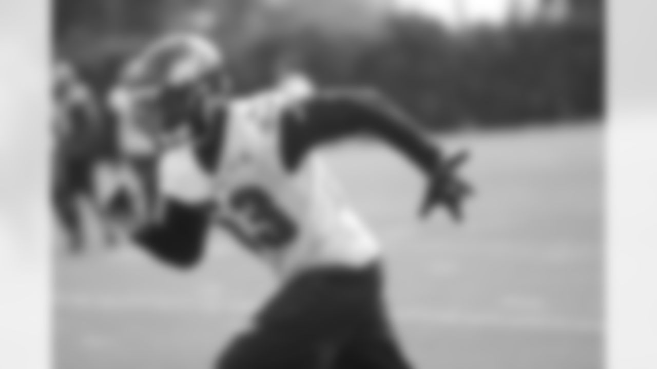 LB Nigel Bradham