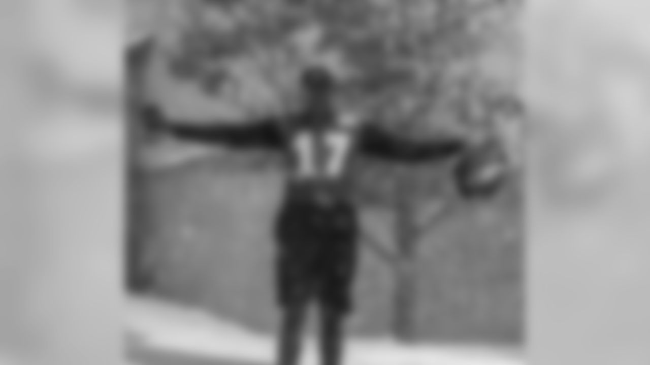 WR Alshon Jeffery