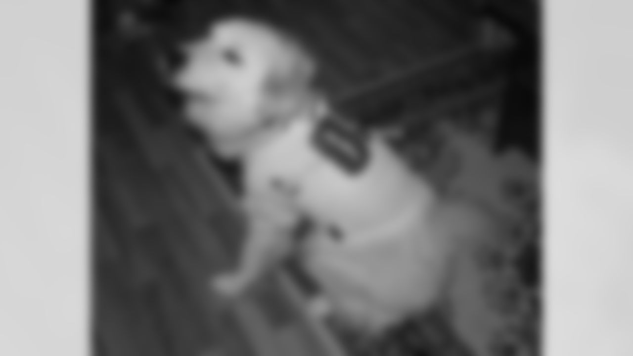 Sadie is the newest Eagles fan in Aurora, Illinois