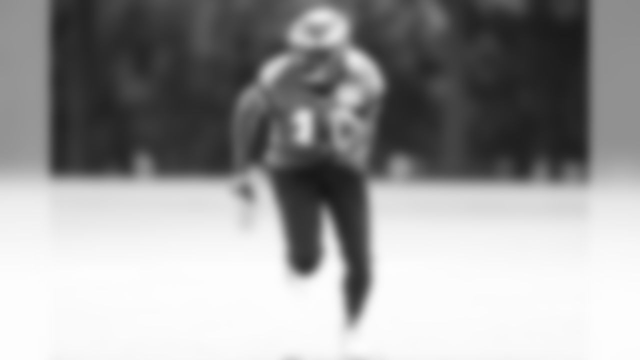 WR Nelson Agholor.