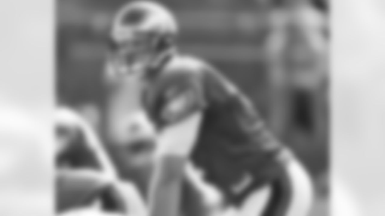 QB Kevin Kolb lines up under center