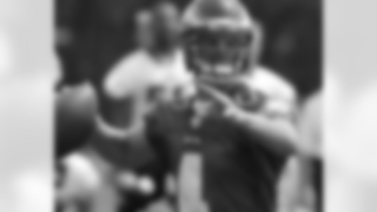 QB Kevin Kolb eyes his target