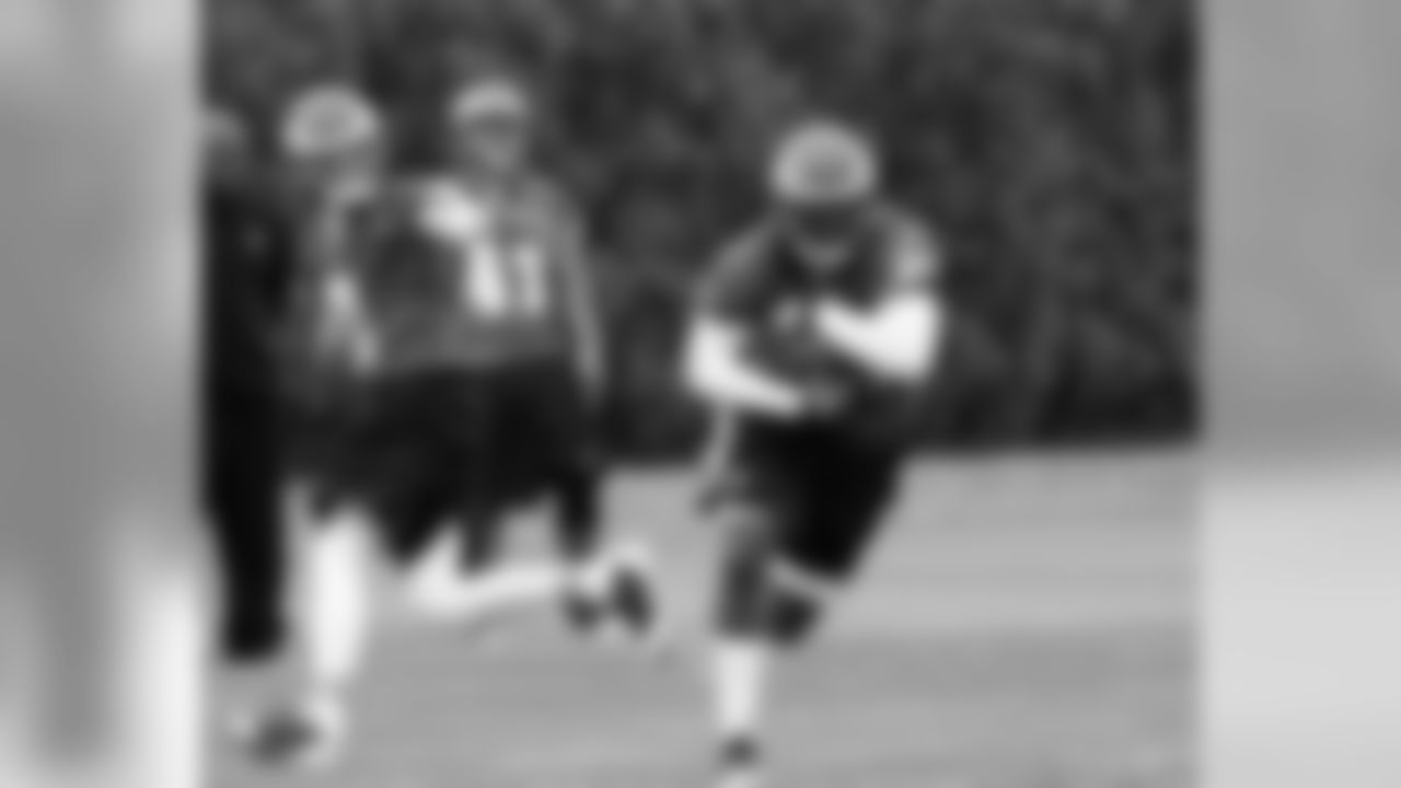 RB LeSean McCoy takes a handoff from QB Kevin Kolb