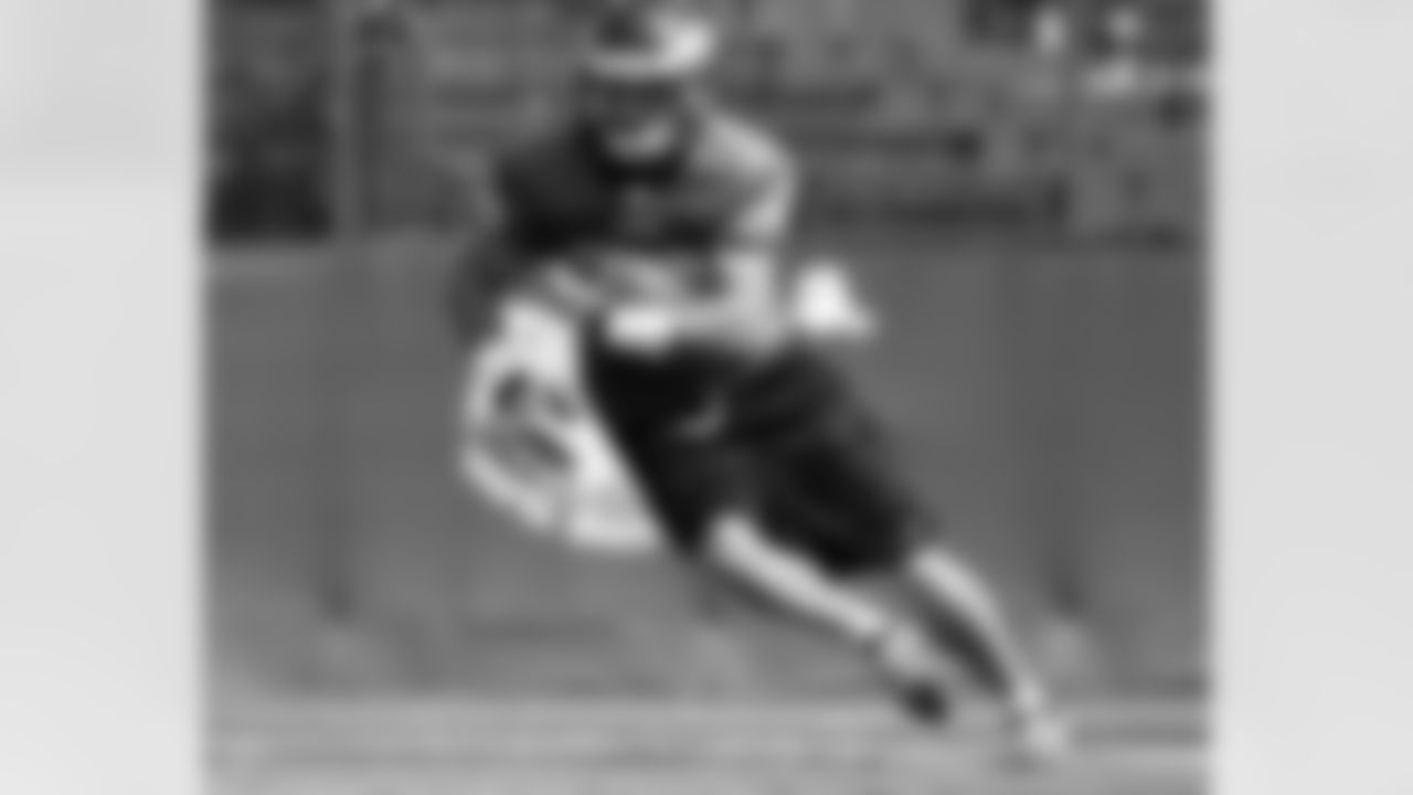 WR Danny Amendola in action