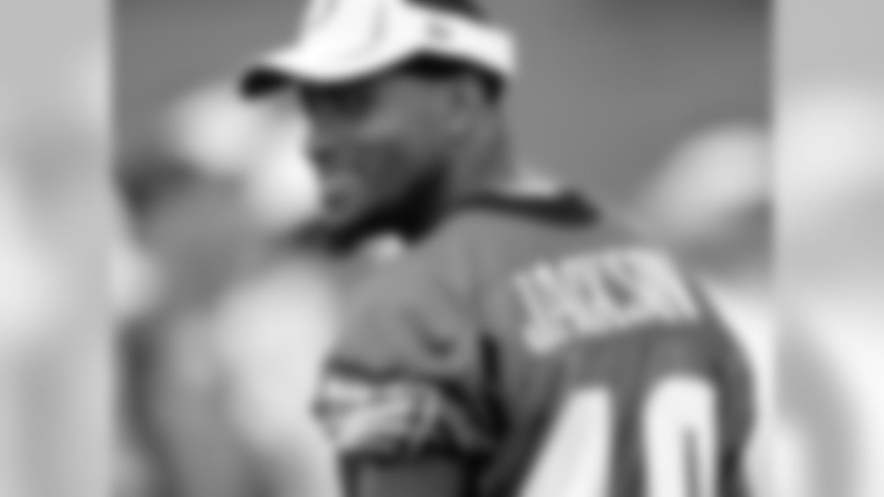 WR DeSean Jackson smiles during Training Camp Saturday