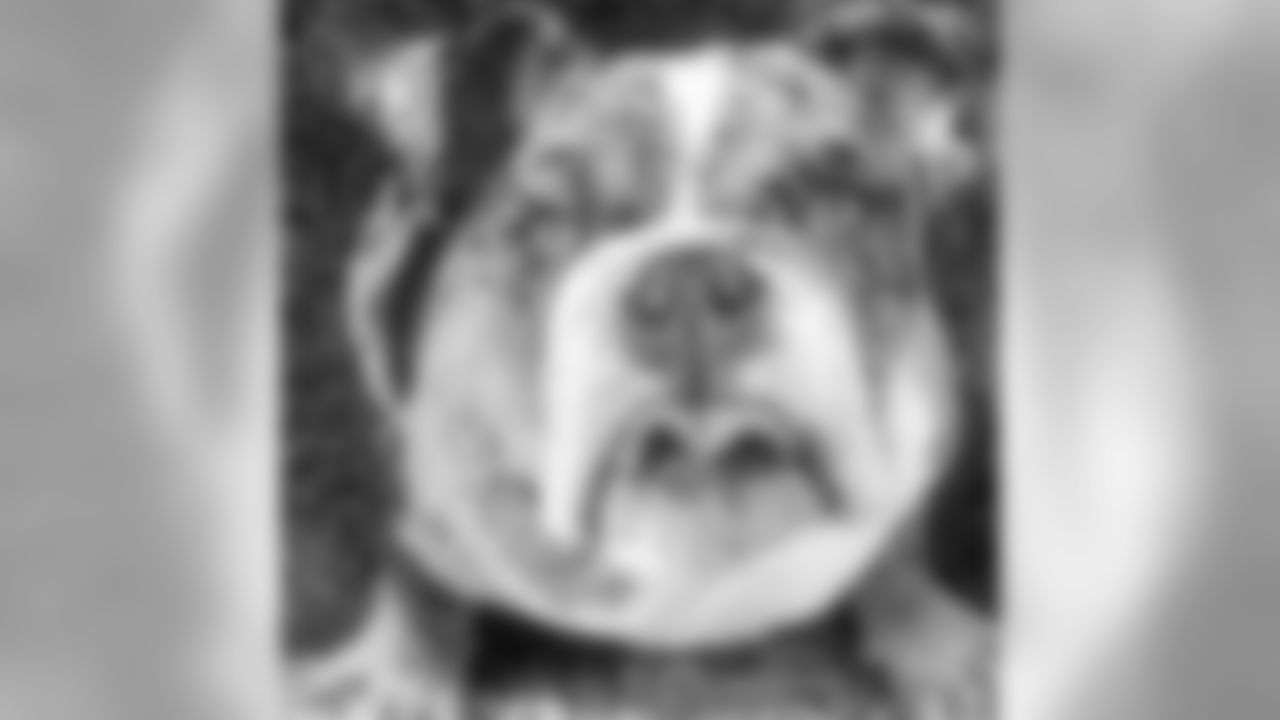 Vinny Curry | Benji