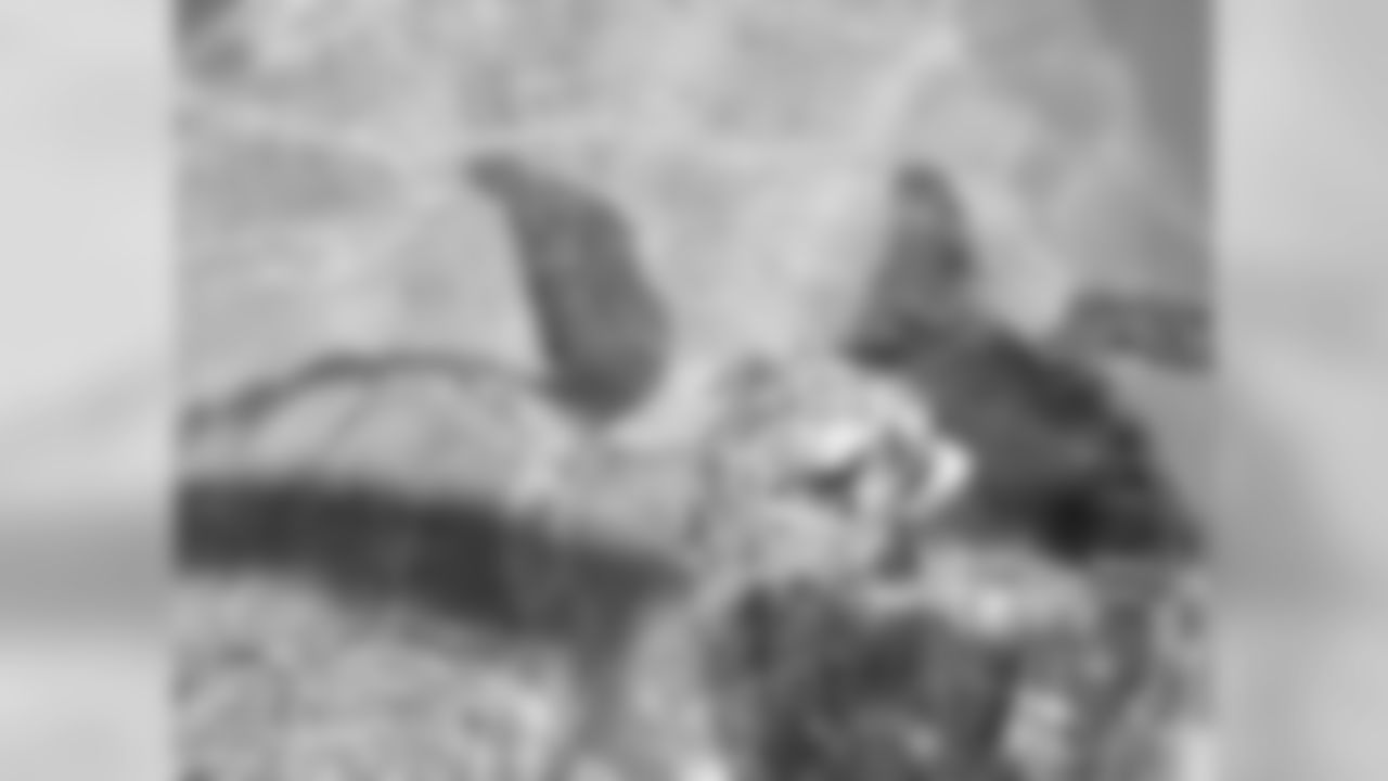 Nearly all species of Marine Turtles are endangered