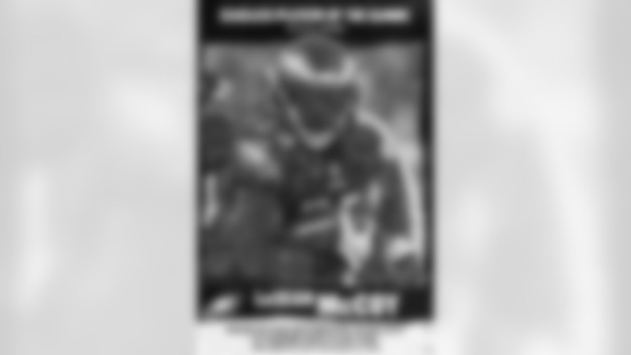 Infographics galore on our Feathers and Facts board