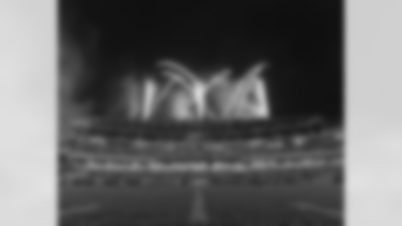 2009 Eagles Flight Night!