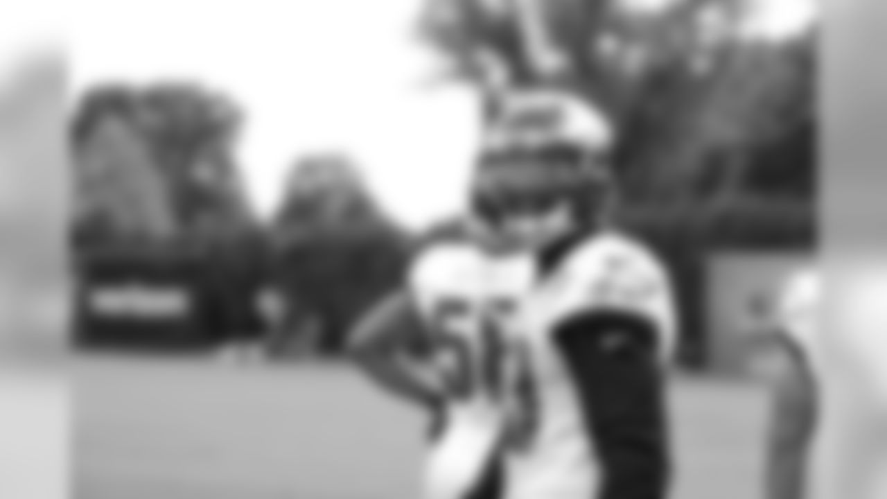 LB Nigel Bradham