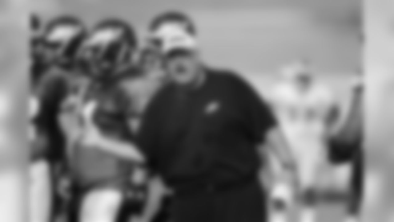 Animated head coach Andy Reid