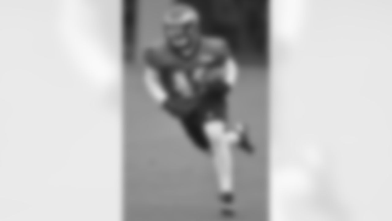 RB David Fluellen