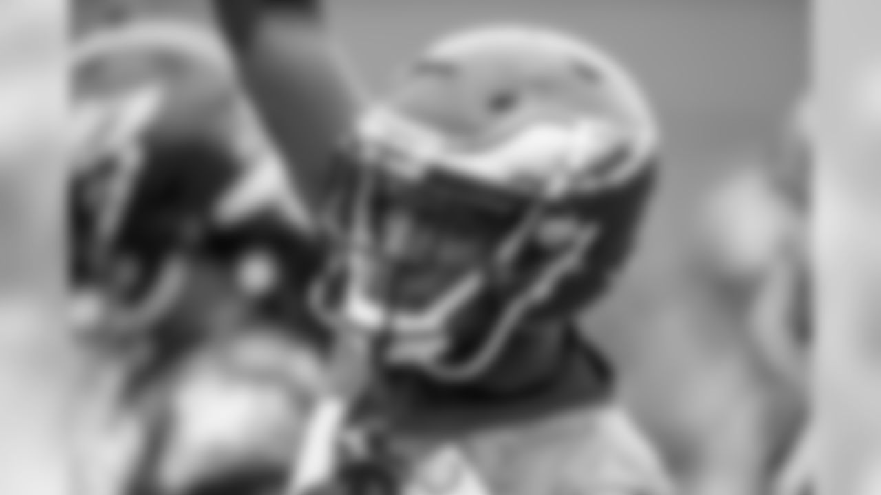 WR Nelson Agholor