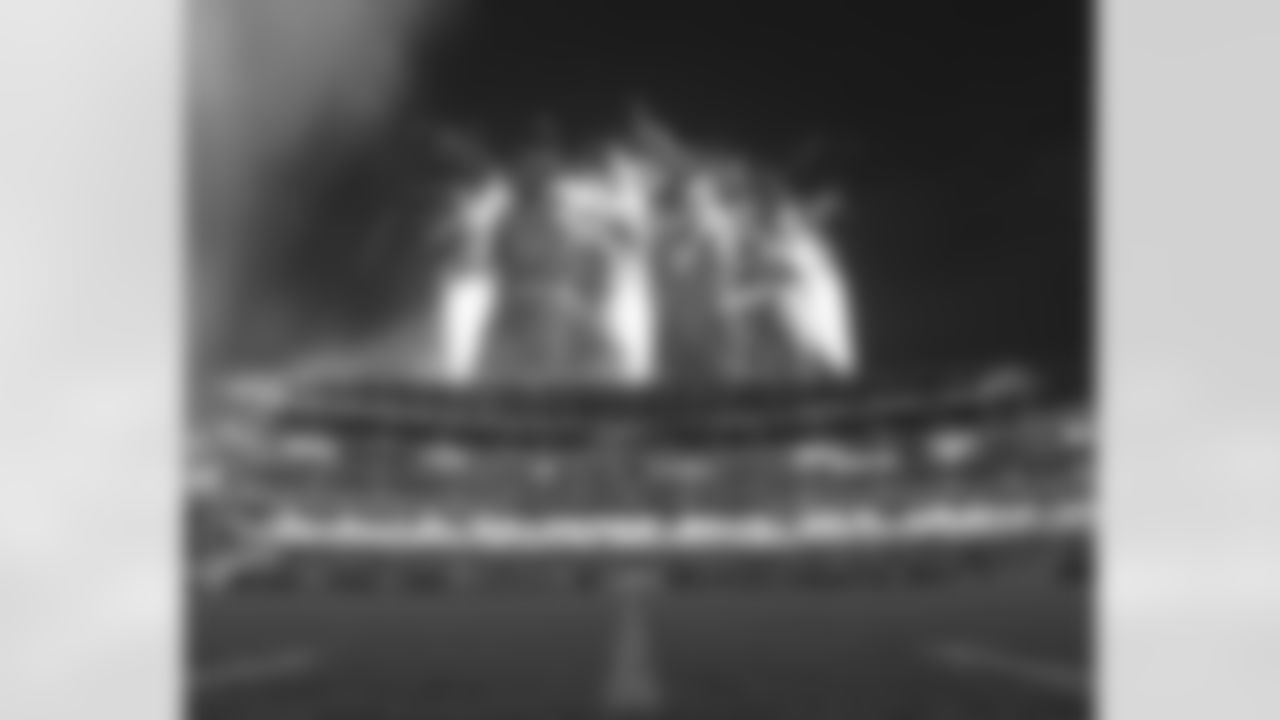 2009 Eagles Flight Night!