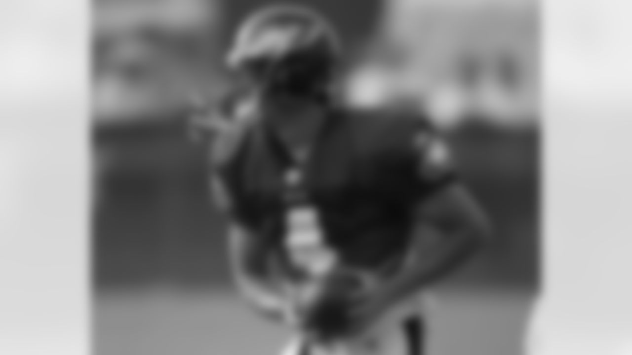 QB Kevin Kolb in action